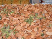 حلويات ابو صالحة <br> Abu Salha Sweets