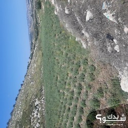 عددة قطع اراضي للبيع الخليل بيت اولا 